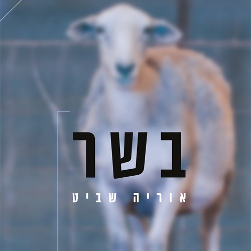 בשר