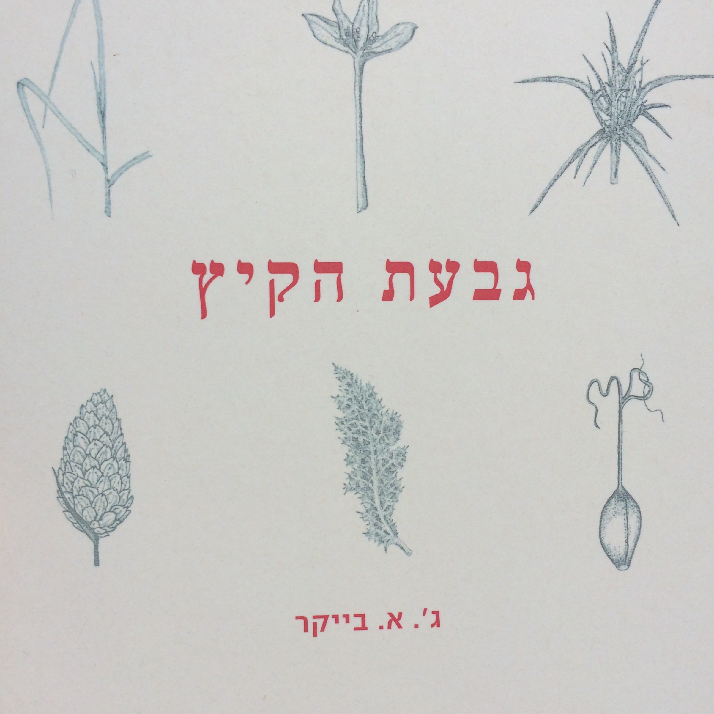 גבעת הקיץ