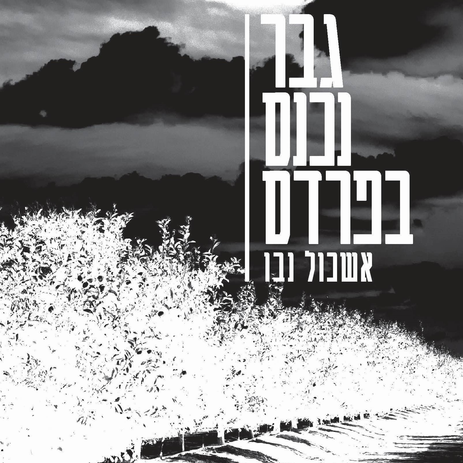 גבר נכנס בפרדס