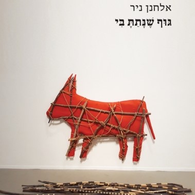 גוף שנתת בי