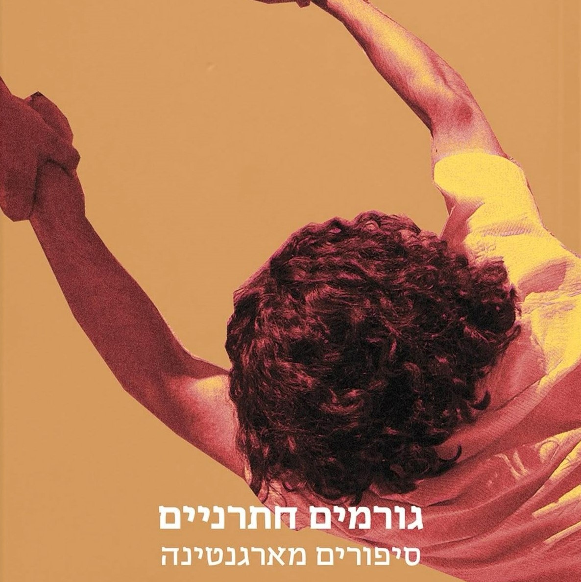 גורמים חתרניים - סיפורים מארגנטינה