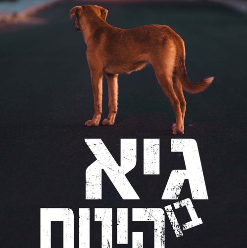 גיא בן הינום