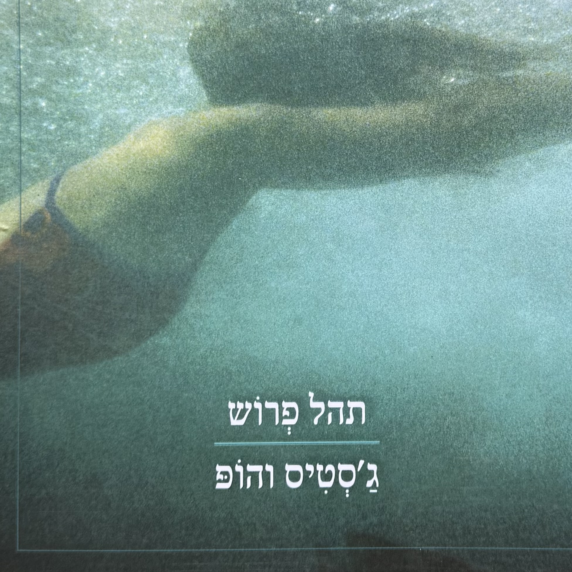 ג'סטיס והופ