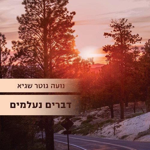דברים נעלמים