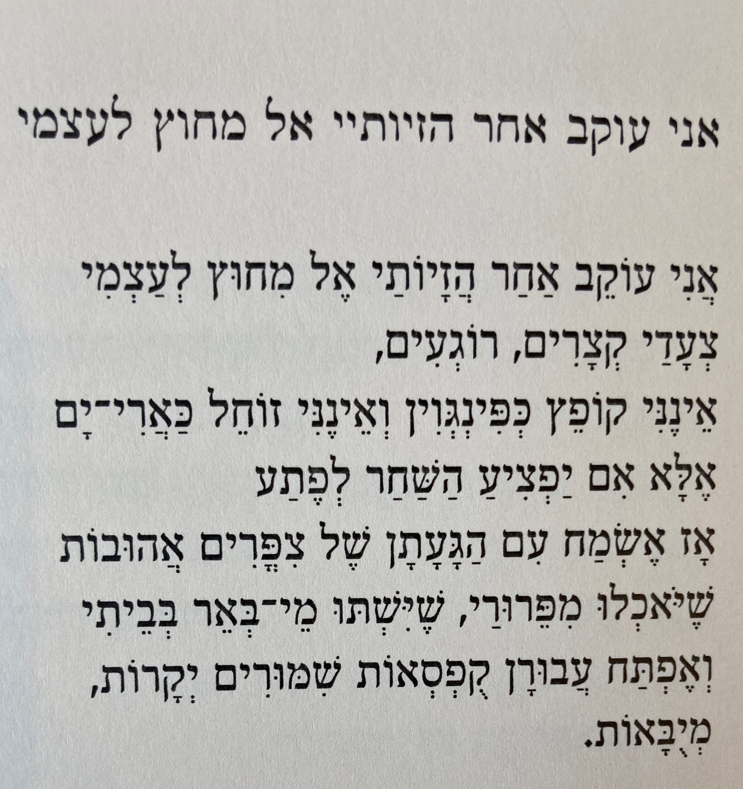 דבר לא יצילני מן הבדידות
