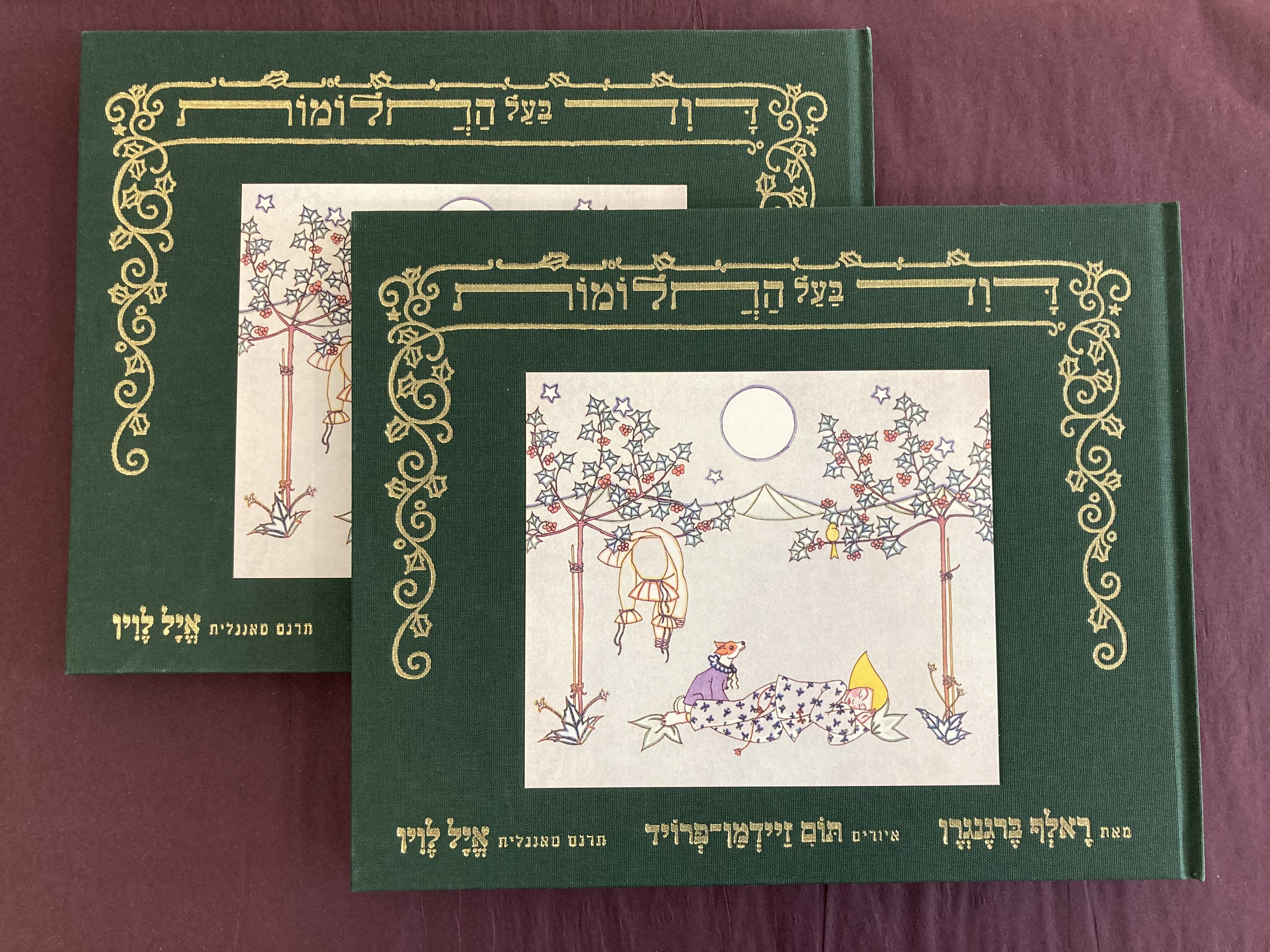 דוד בעל החלומות