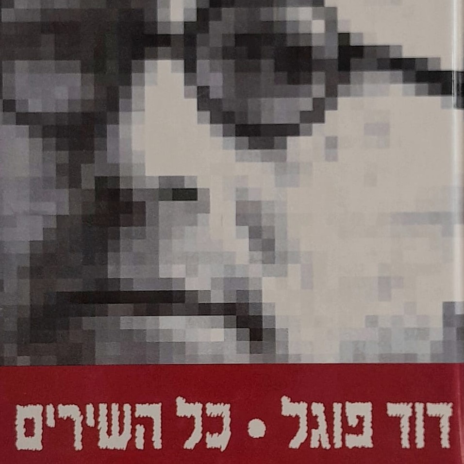 דוד פוגל | כל השירים