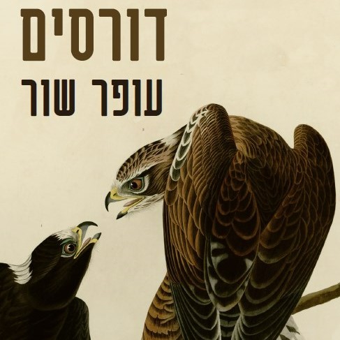 דורסים