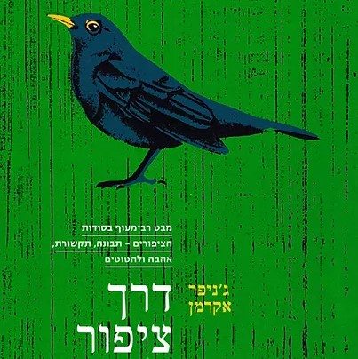 דרך ציפור
