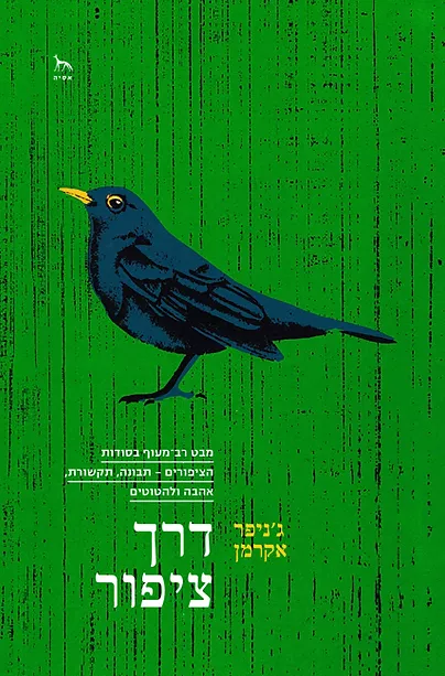 דרך ציפור