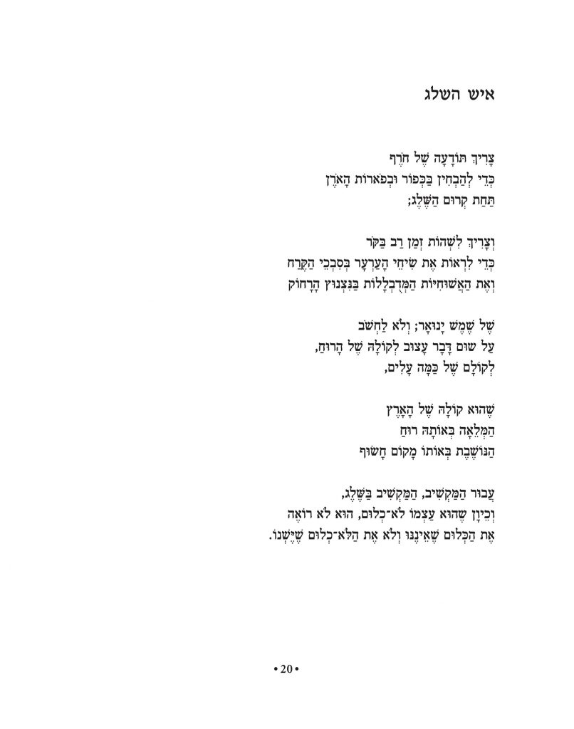 האיש עם הגיטרה הכחולה ושירים אחרים