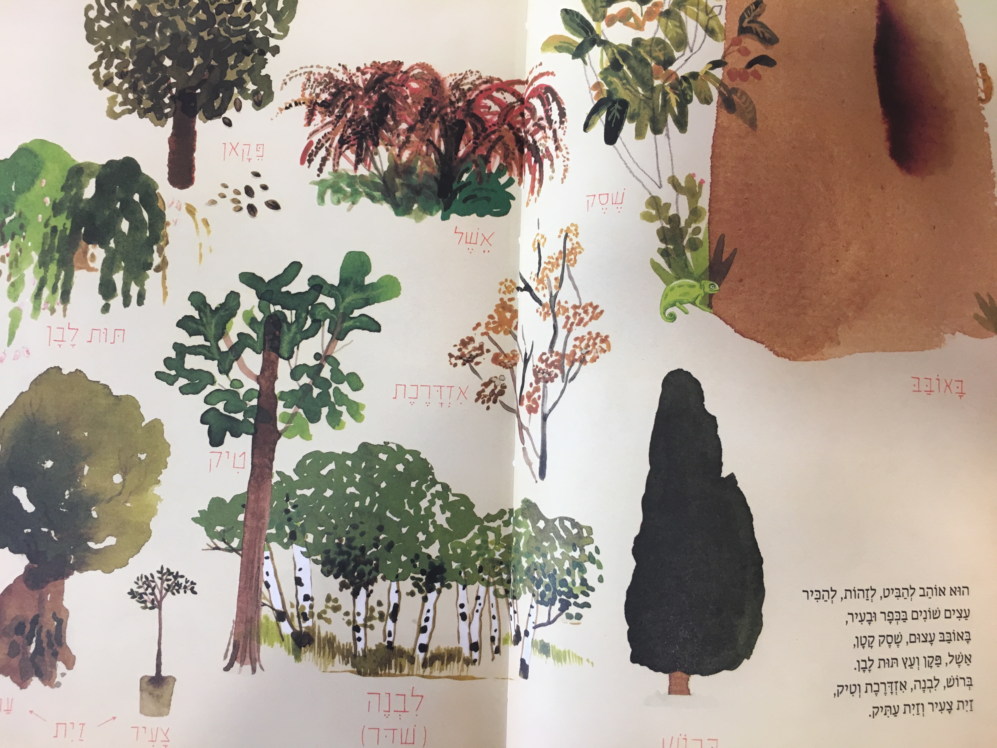 האיש שאהב עצים