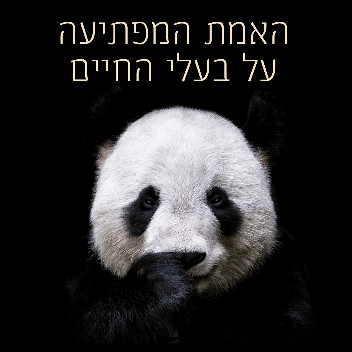 האמת המפתיעה על בעלי החיים