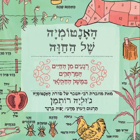 האנטומיה של החווה