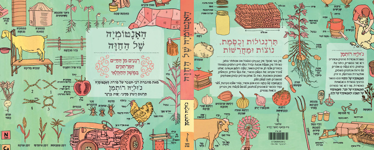 האנטומיה של החווה