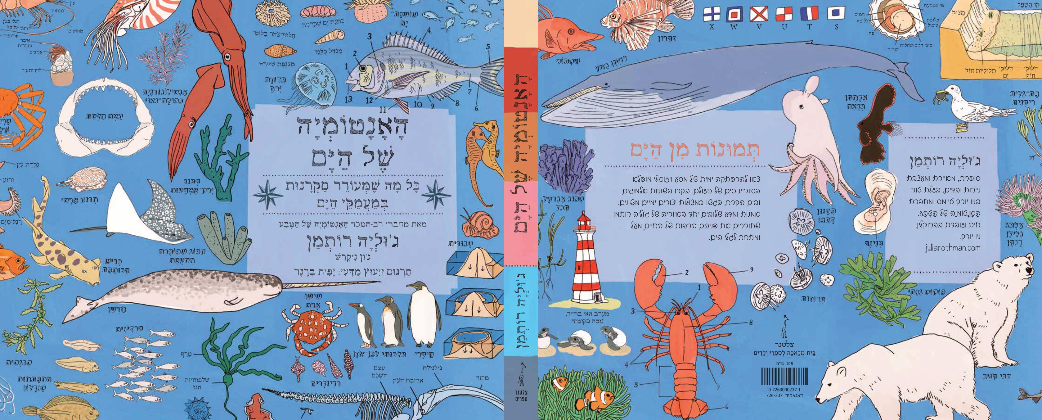האנטומיה של הים