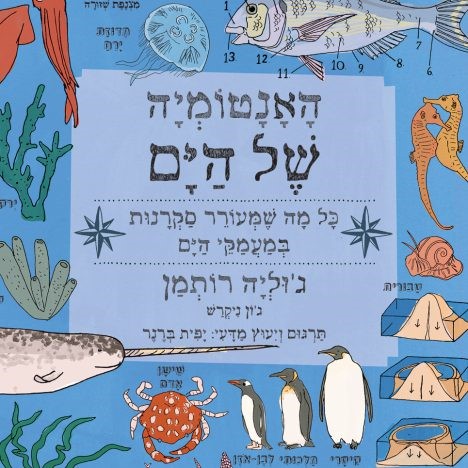 האנטומיה של הים