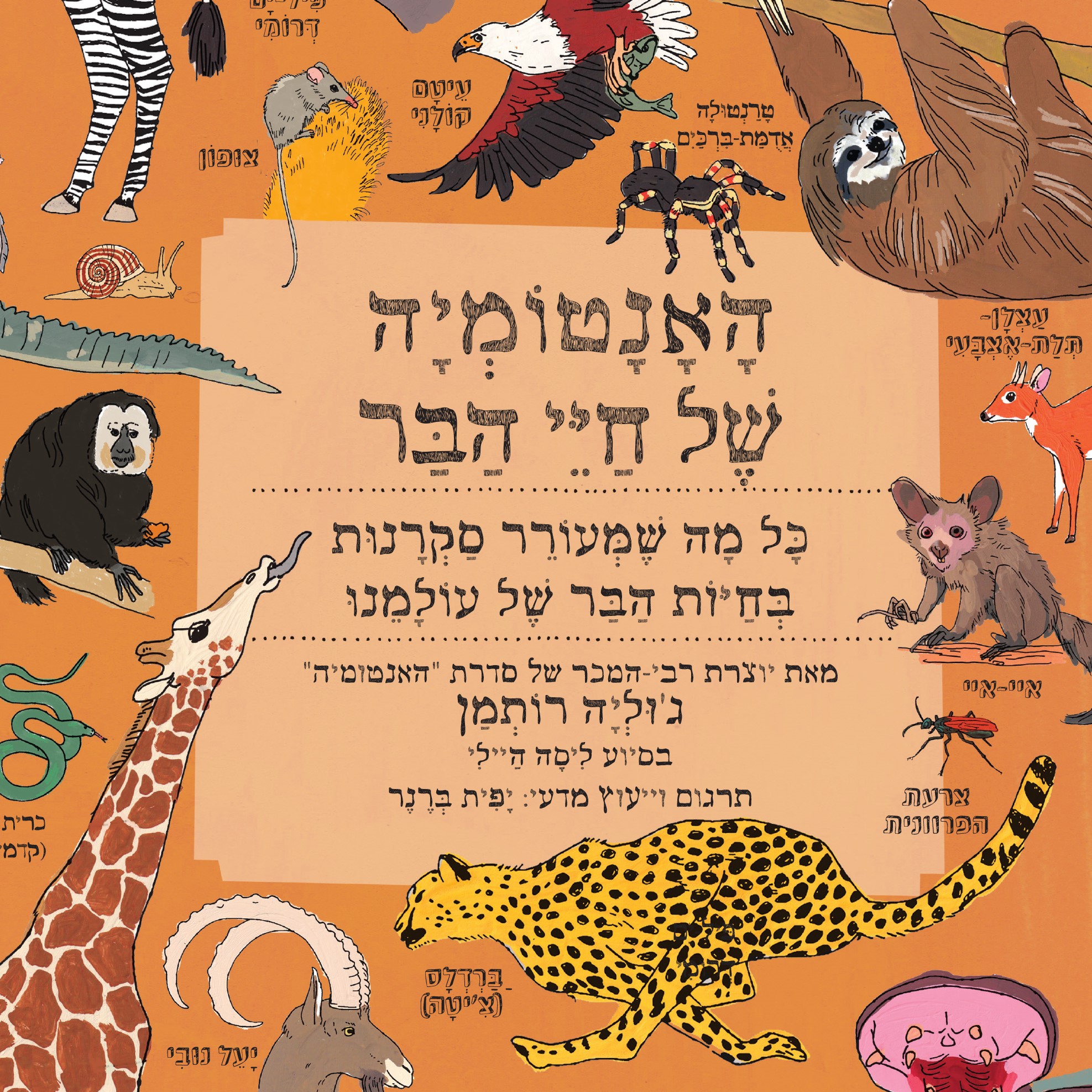 האנטומיה של חיי הבר