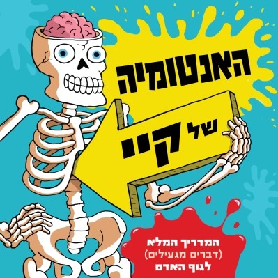 האנטומיה של קיי