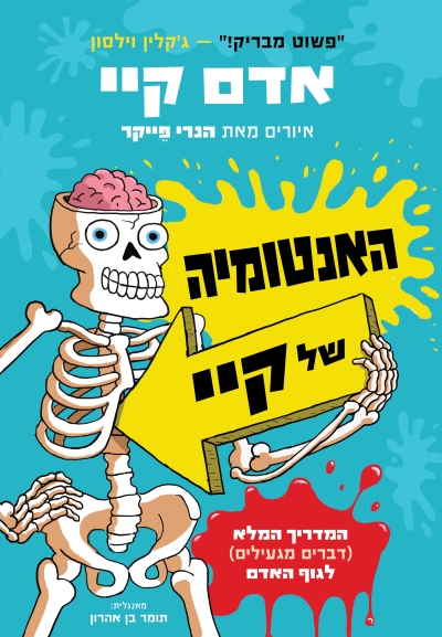 האנטומיה של קיי
