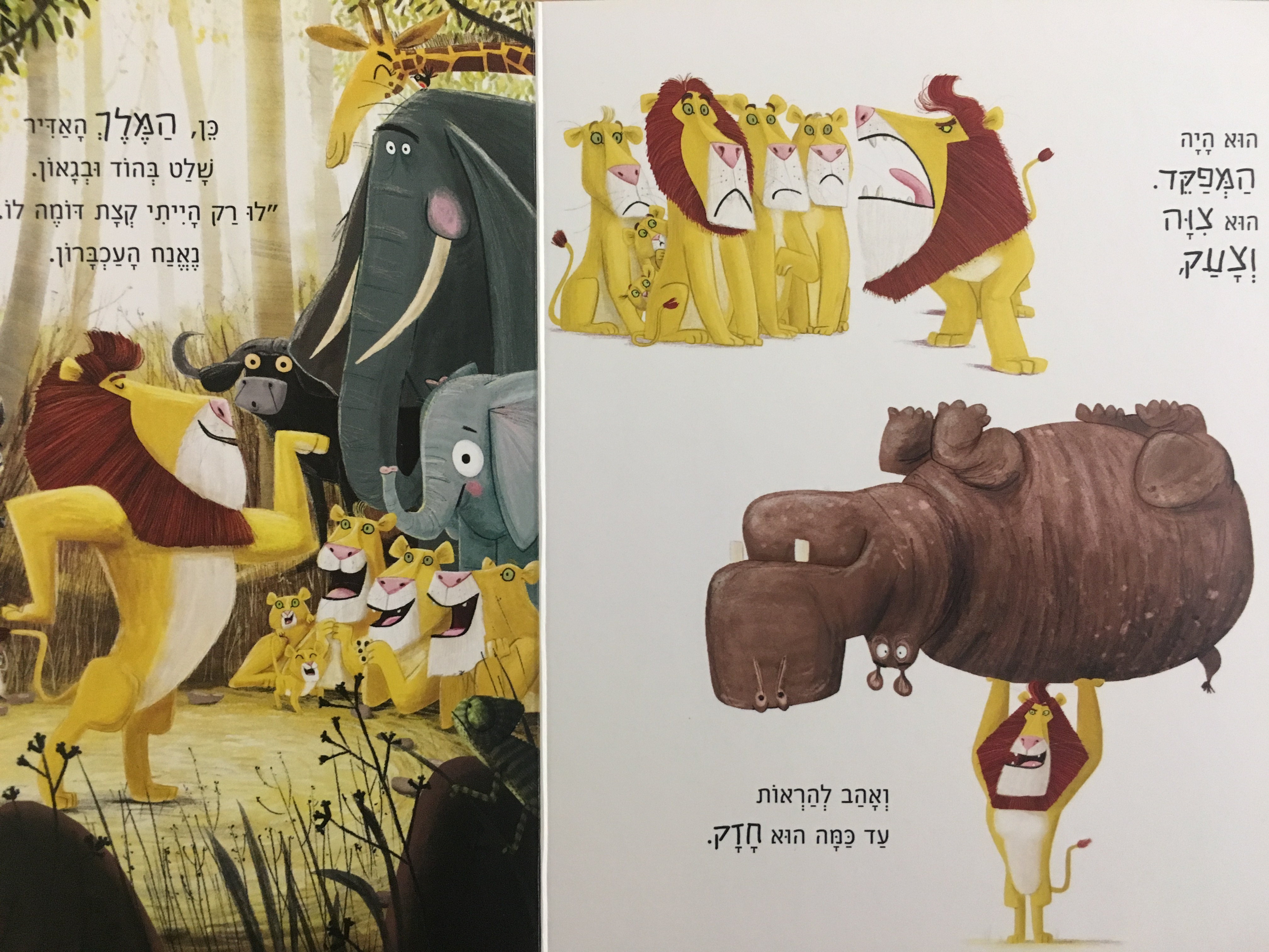 האריה שבפנים - דפי קרטון