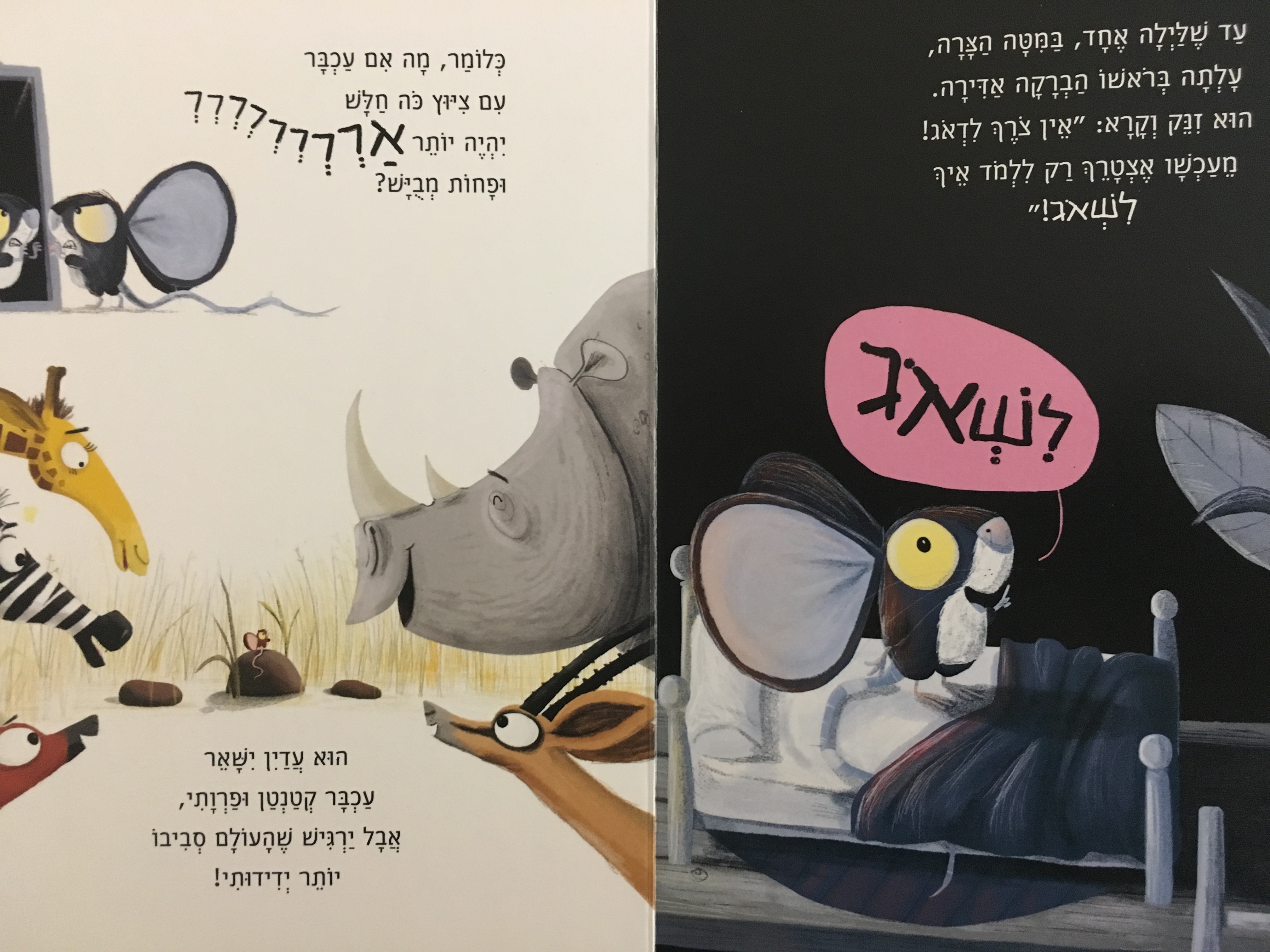 האריה שבפנים - דפי קרטון