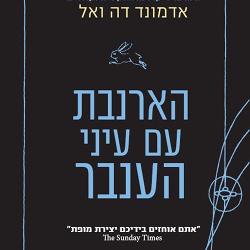 הארנבת עם עיני הענבר