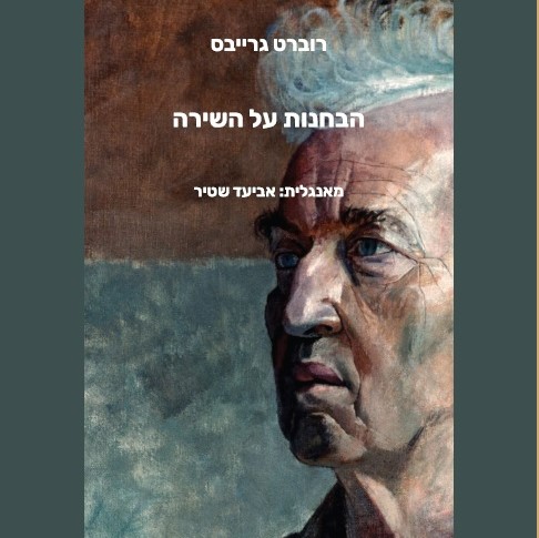 הבחנות על השירה