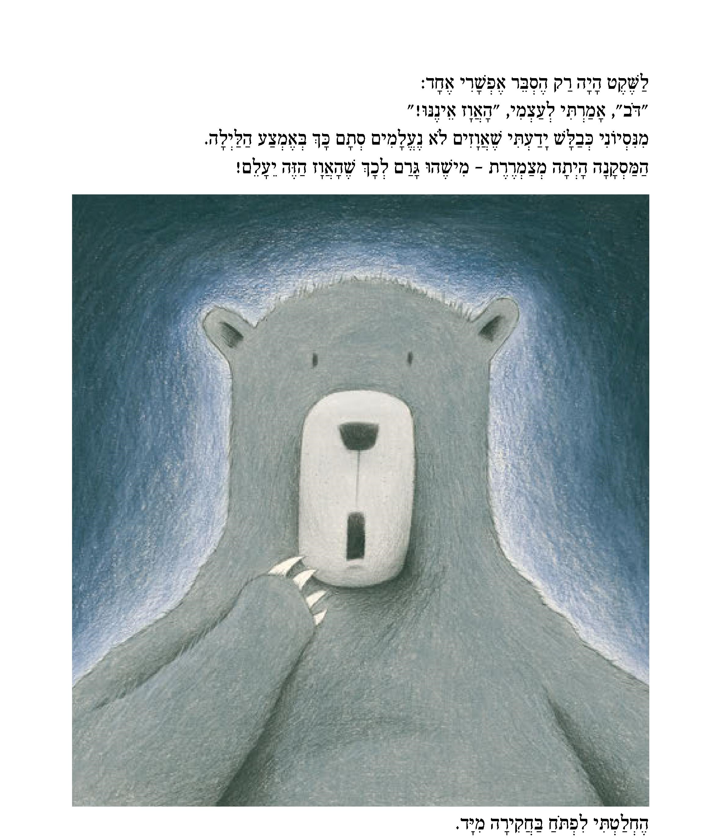 הבלש דב ותעלומת האווז הנעלם