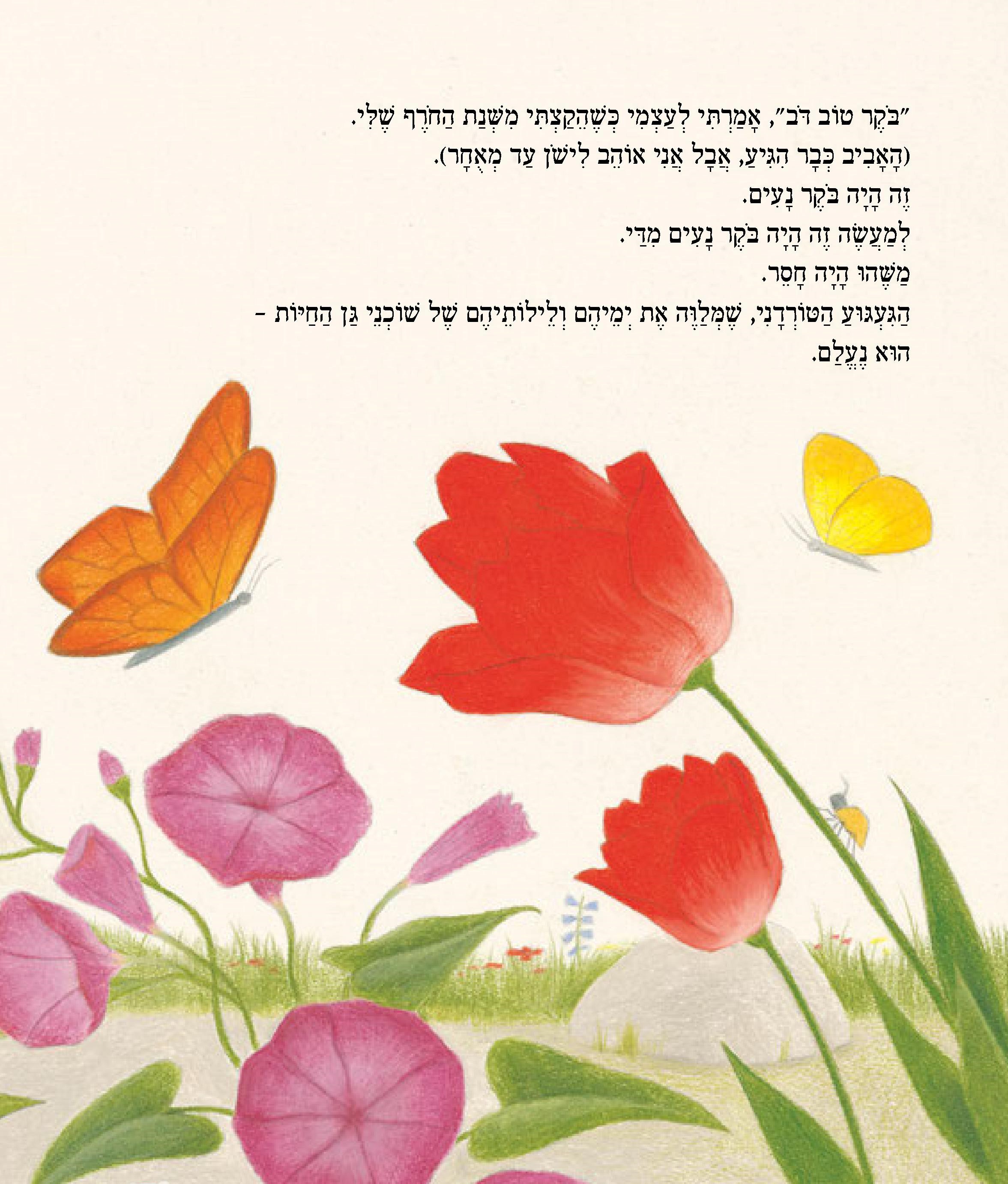 הבלש דב ותעלומת האווז הנעלם
