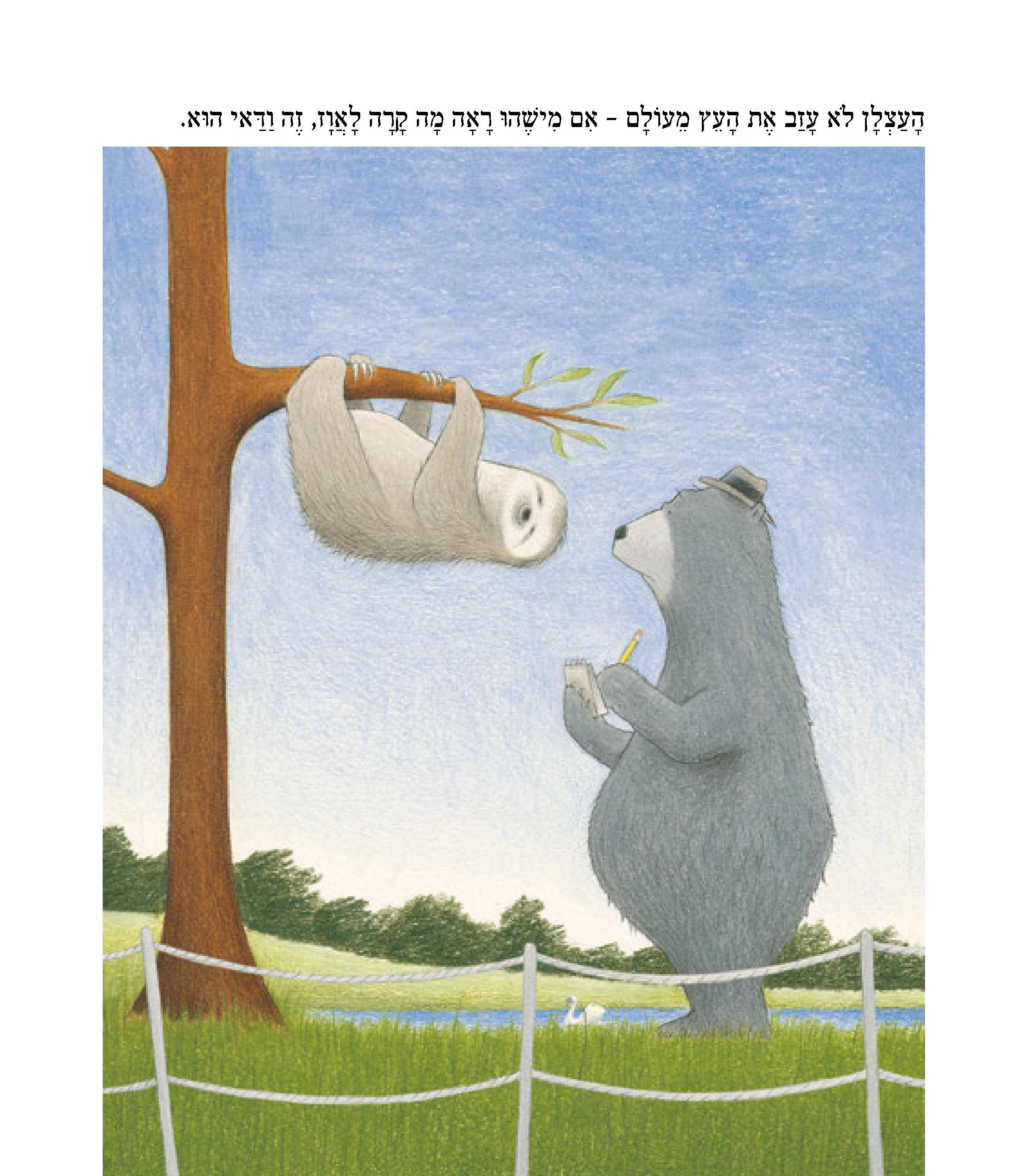הבלש דב ותעלומת האווז הנעלם