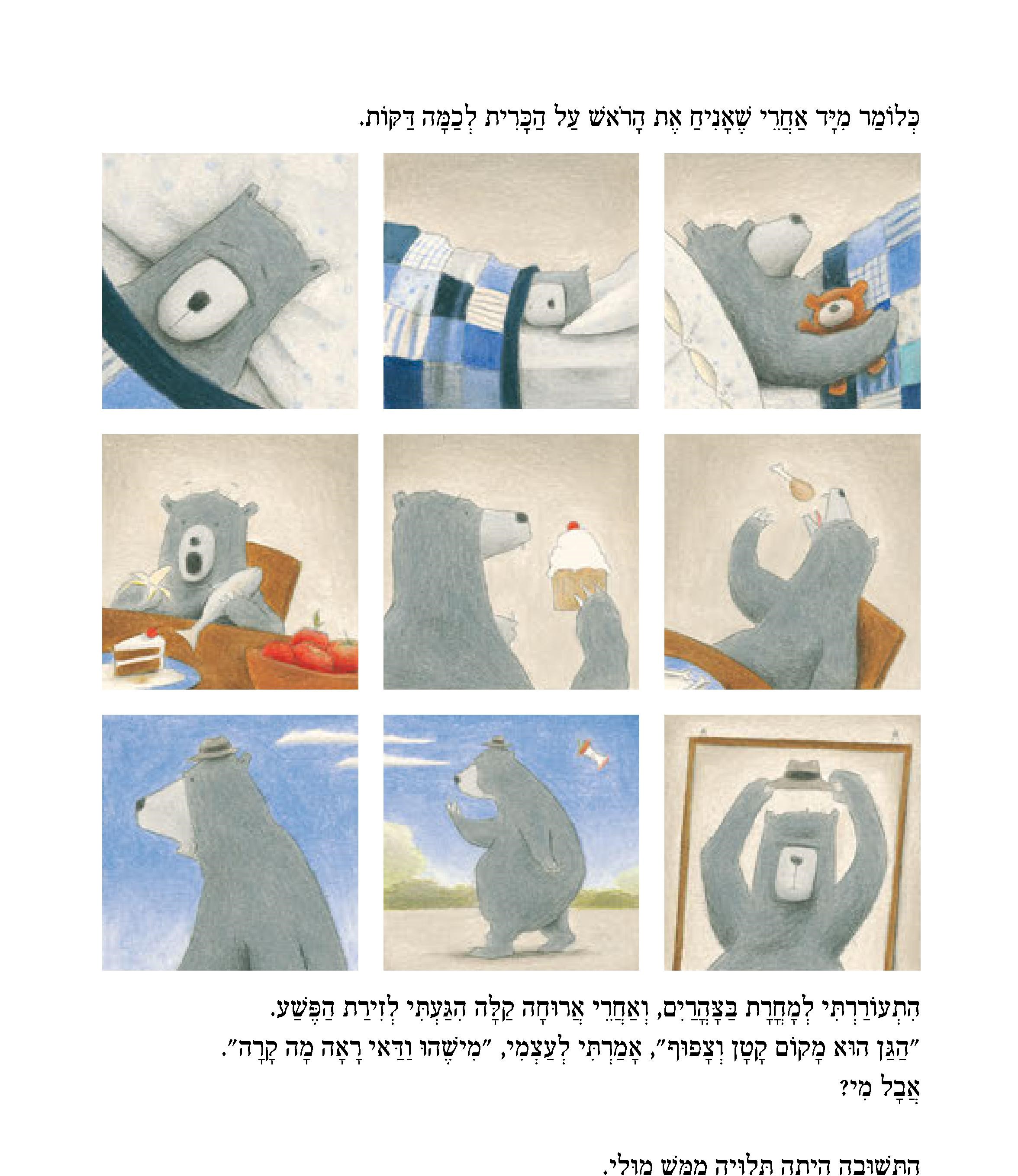 הבלש דב ותעלומת האווז הנעלם