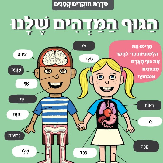 הגוף המדהים שלנו