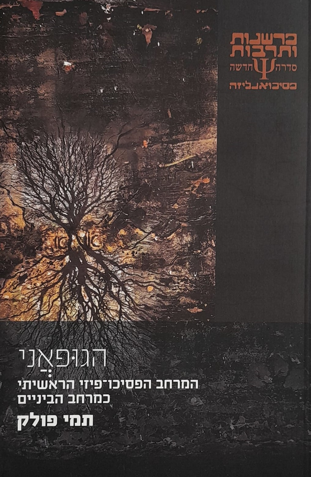 הגופאני – המרחב הפסיכו־פיזי הראשיתי כמרחב הביניים