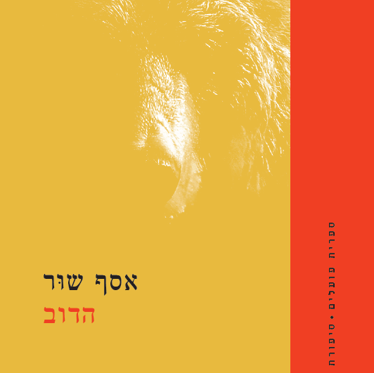 הדוב