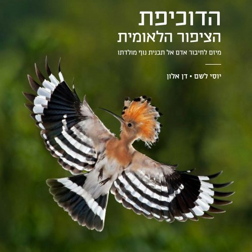 הדוכיפת - הציפור הלאומית