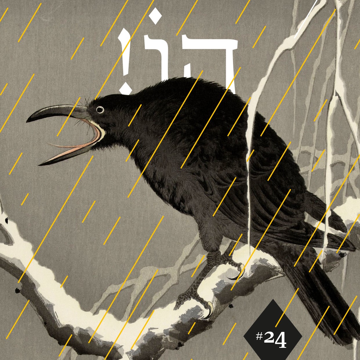 הו! גיליון 24