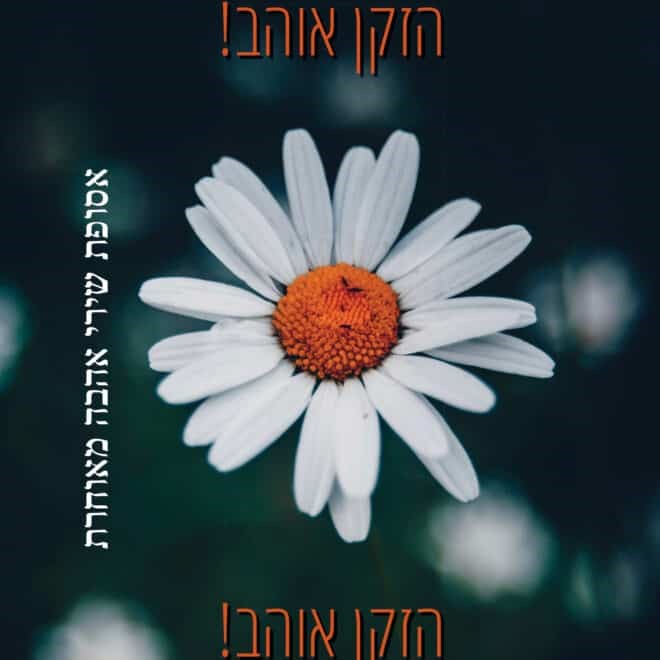 הזקן אוהב! הזקן אוהב! אסופת שירי אהבה מאוחרת