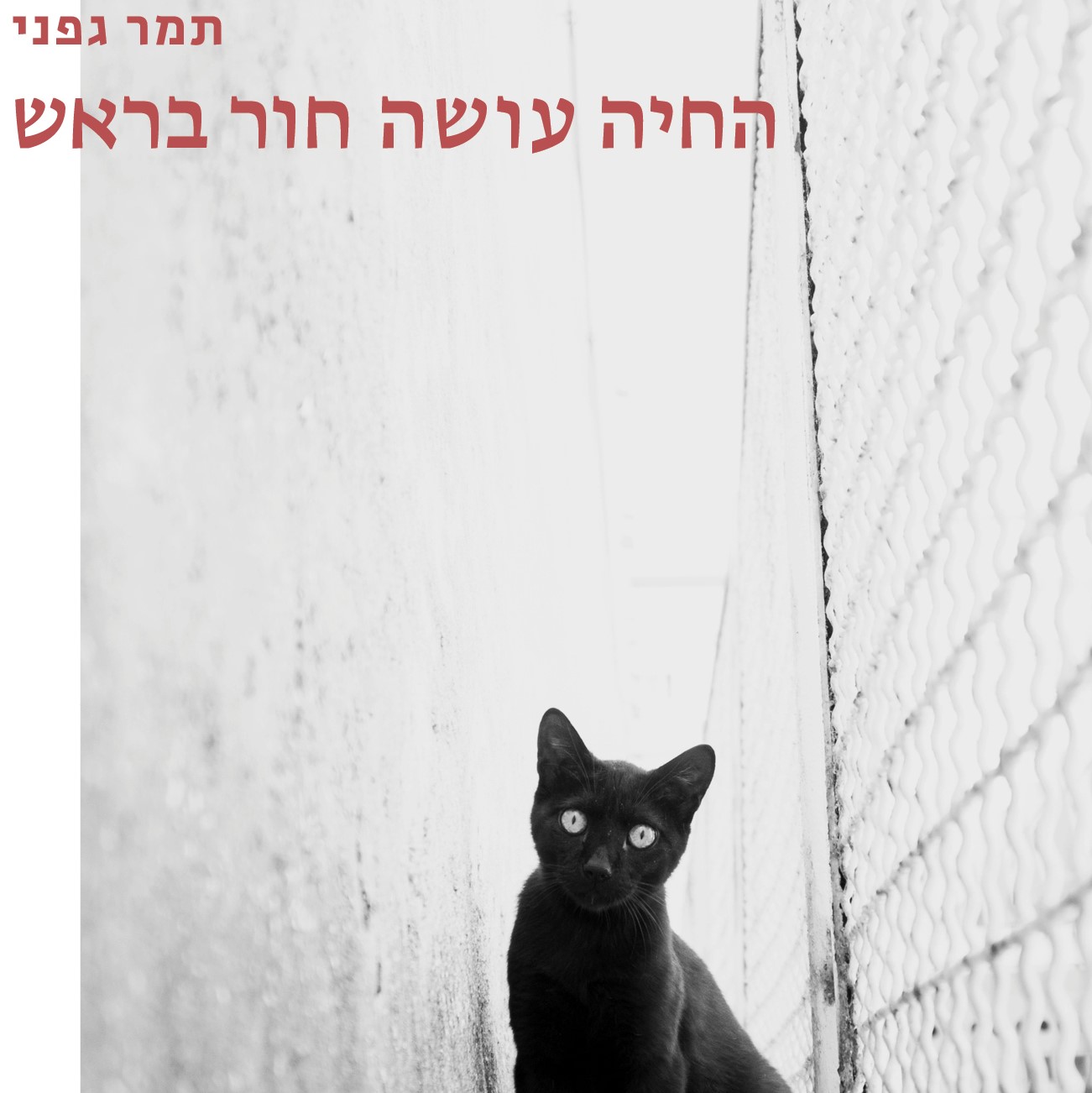 החיה עושה חור בראש