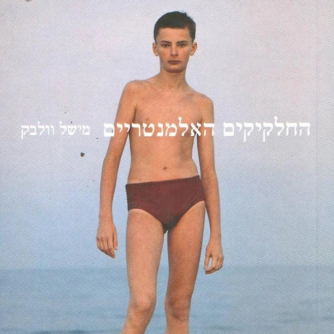 החלקיקים האלמנטריים