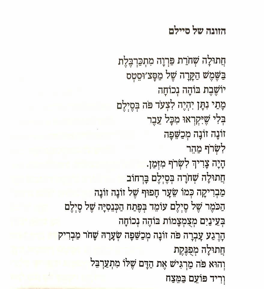 החתולה של סיילם