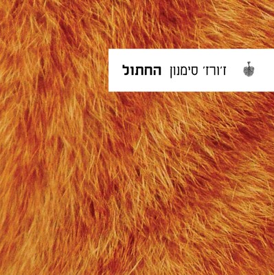 החתול