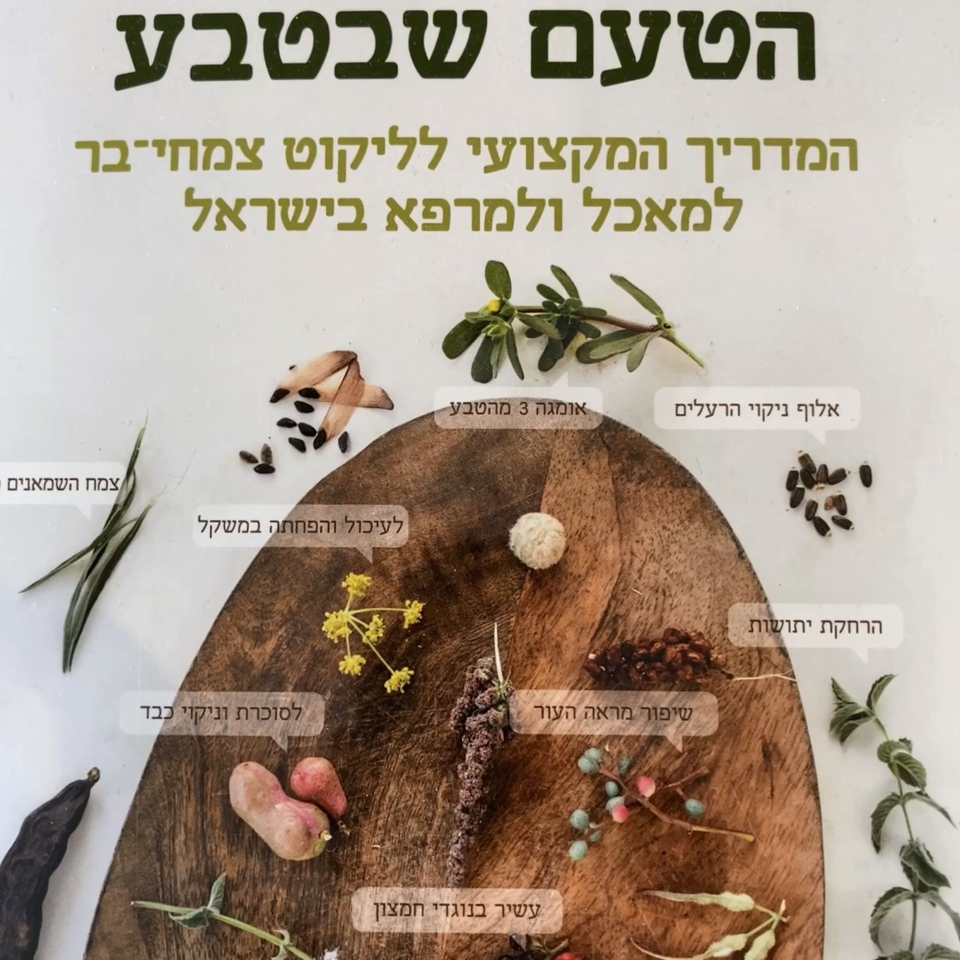 הטעם שבטבע