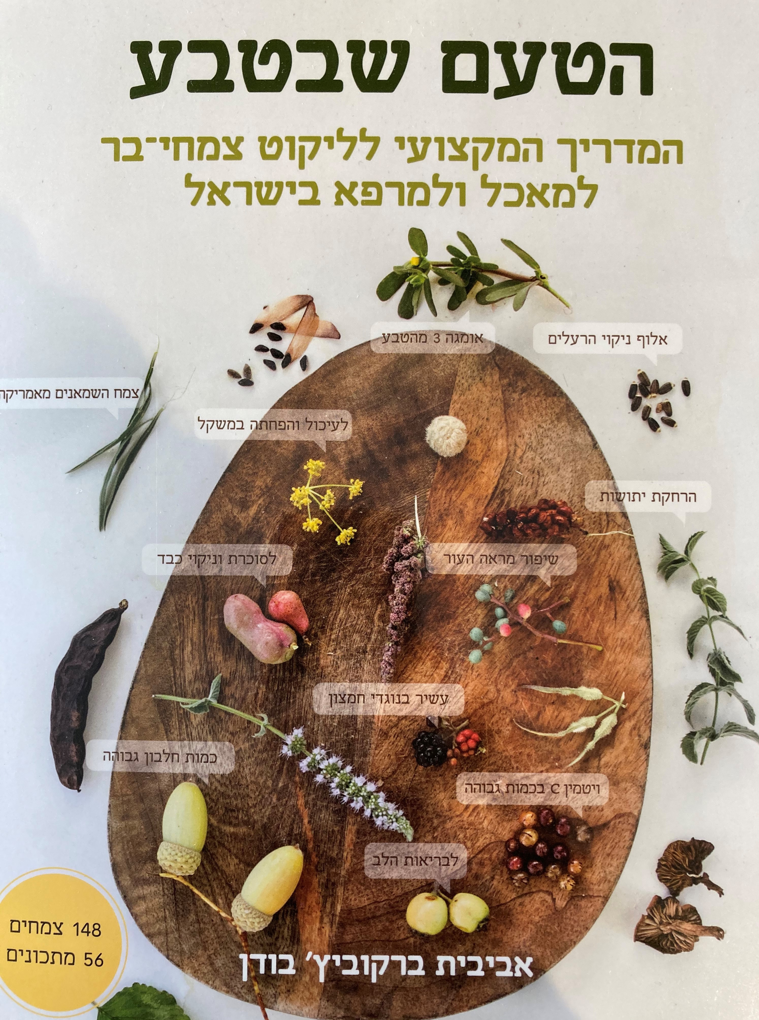 הטעם שבטבע