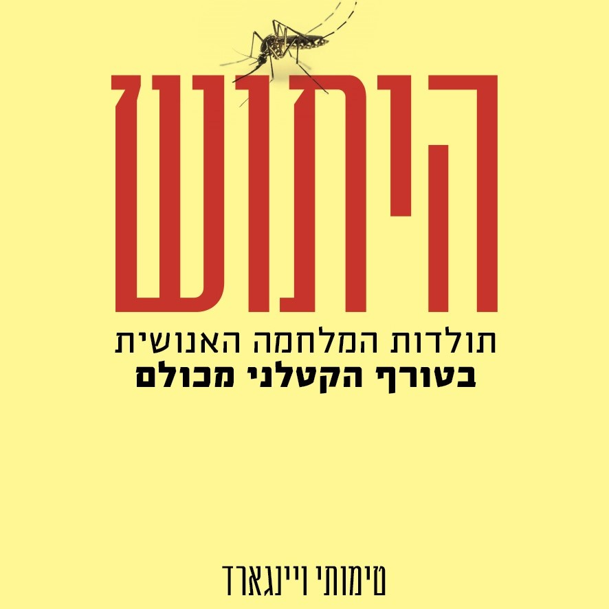 היתוש