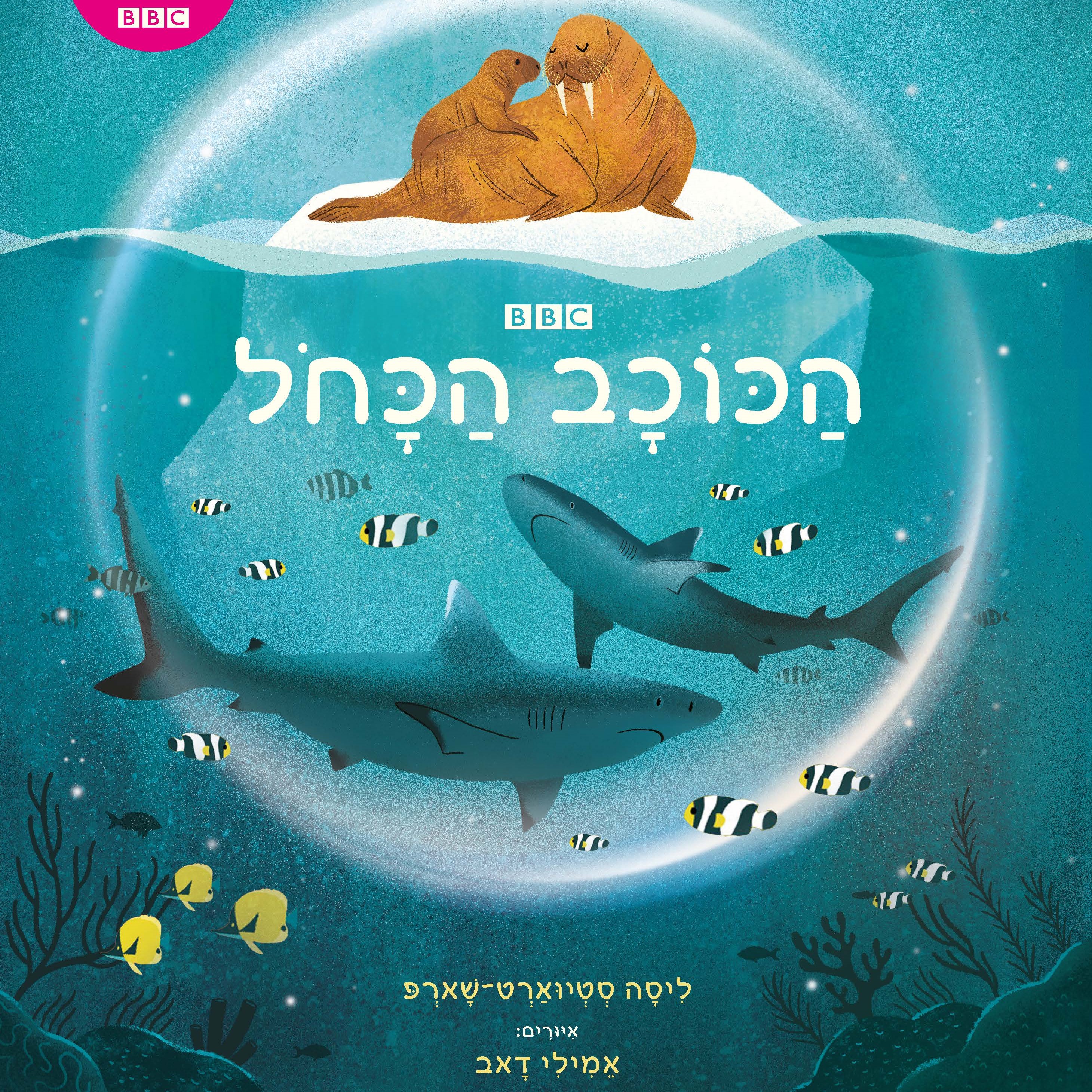 הכוכב הכחול