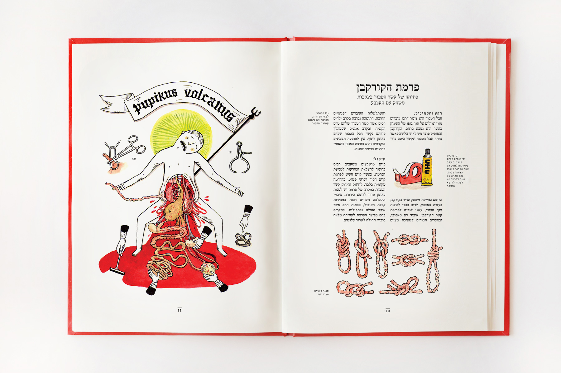 המדריך לבריאות הילד