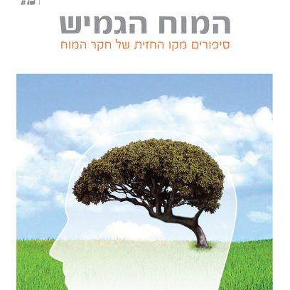 המוח הגמיש