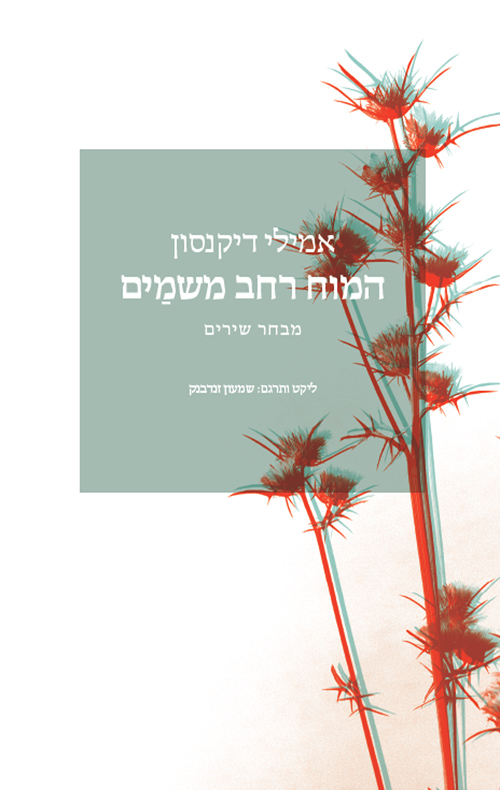 המוח רחב משמיים