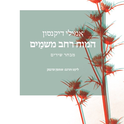 המוח רחב משמיים